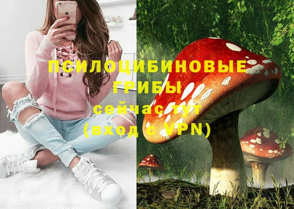 СК Белокуриха